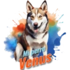 Mi perro Venus