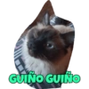 GUIÑO GUIÑO