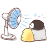 Pollito y pingüino 15
