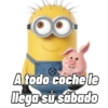 Minions 💛 25