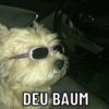 Selecionadas Para Você: 9