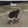 Bye
болдми