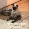 A veces ando todo
tistesillo
