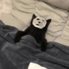 GATOS CRINGE 😵🥵 7