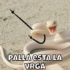 PALLÁ ESTA LA
VRGA