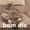 bom dia