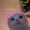 Gatitos Anti-depresivos Vol.1 17