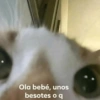 Ola bebé, unos
besotes
o q