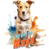Mi perro Maya