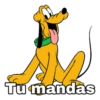 Pluto 5