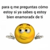 para q me preguntas cómo
estoy si ya sabes q estoy
bien enamoradx
de ti
