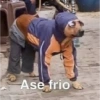 Memes para divertirse 7🤪 12