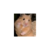 Meme dark 1 6