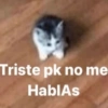 Michis Cute 🥹 5