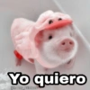 Yo quiero
@Harley Stickers