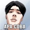 АРА СОВА