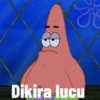 Si petrick 17
