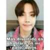 Más divertido es
hablar con mi
gato, adiós.