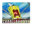 CAAALLAAATEEE