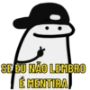 Å SE EU NÃO LEMBRO É MENTIRA
