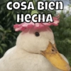 COSA BIEN
HECHA