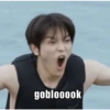 goblooook