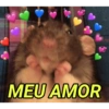 AMOR E AMOR 😍❤️❤️ 7