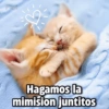 Hagamos la
mimision juntitos