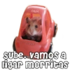 O&M
sube. vamos a
ligar morritas