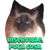 INSERVIBLE
POCA COSA