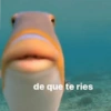 de que te ries