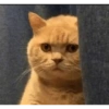 Meme lucu meme meme lucu 28