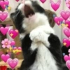 💕USA COM SEU CRUSH💕 5