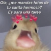 Memes pa' ligar 1 25