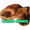 QUIERO MIMOS