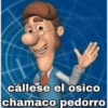 BE hetpostin
cállese el osico
chamaco pedorro