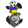 Biriba Botafogo #02 10