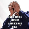 HWIKS HWIKS
HUEHUE
H-HWIKS NHH
HIKS
