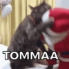 TOMMAA