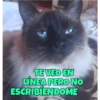 TE VEO EN
LÍNEA PERO NO
ESCRIBIENDOME