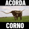 ACORDA CORNO