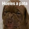 Hueles a pata