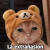 Payi
2
La extrañasion
