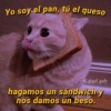 Gatitos Anti-depresivos Vol.1 10