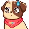 Λ TOMO