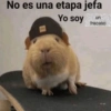 No es una etapa jefa
Yo soy
un
fracaso