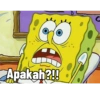 Apakah?!!