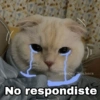 ✨Gatitos con frases😺✨1 6