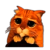 Gato con Botas Random 6