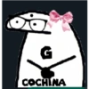 0 G COCHINA